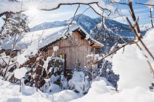 Luxus Ferienhaus für Familie und Hund
