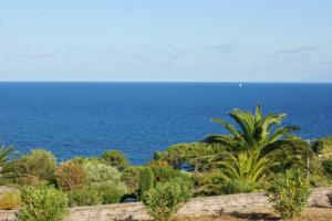 Appartements Vue sur mer - Appartement Les Pins : photos des chambres