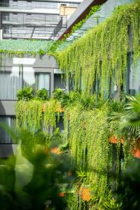 Chi House Danang Hotel and Apartment