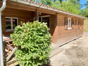 Villages vacances Les chalets du Lac - Passavant-La-Rochere : Mobile Home