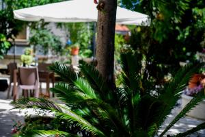 B&B La Fontanella