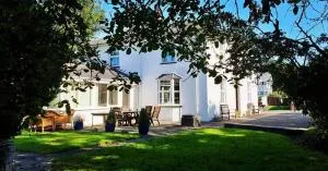 YR HEN FICERDY - Elerch