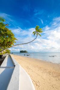 Pk 27.5 Côté Mer Hauru Haapiti Moorea, Moorea 98729, French Polynesia.