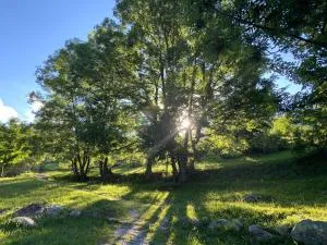 La Baita Limone Riserva Bianca Ski-in Ski-out Seggiovia Morel 1 - 唐德