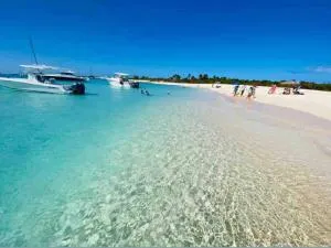 Life Is Good - Ceiba