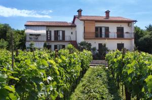 Family friendly apartments with a swimming pool Strmac, Labin - 5527