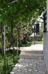 Apartments with a parking space Novi Vinodolski - 5482