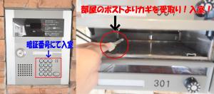 Sumuka Shintoshin2 402