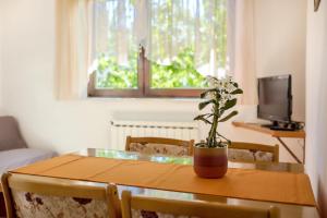 Apartments for families with children Krk - 5396