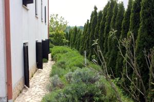 Apartment Porat 5322c