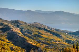 Guesthouse Gerofoti Achaia Greece