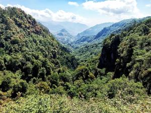 Cabaña para pareja en el bosque IA