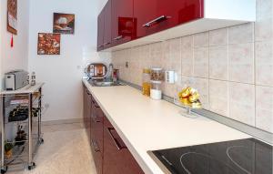Lovely Apartment In Vranici With Kitchen
