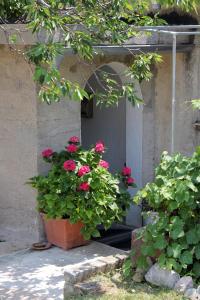 Apartment Novi Vinodolski 5600b