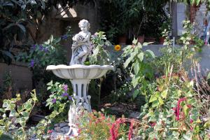 Apartments with parking space Postira, Brac - 5659