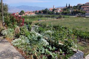 Apartments with parking space Postira, Brac - 5659