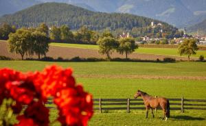 Schönhuberhof Apartment Panoramablick
