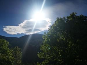 Apartament Dragoste și Lavandă Sinaia