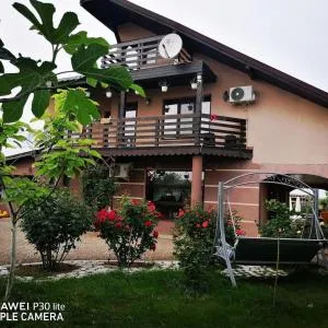 Casa Iris Murighiol - 杜纳厄图德乔斯