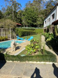 Casa encantadora na serra-Teresópolis