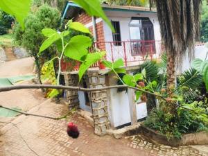 Steven and Dayness homestay