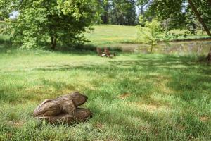 Campings Cabane Perchee dans les Arbres : photos des chambres