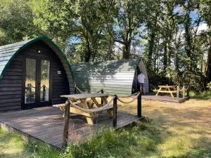 Nightjar Cabin at Cloudshill Glade - 比尔里吉斯