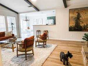 Highland Village, TX. Charming mid-century ranch.