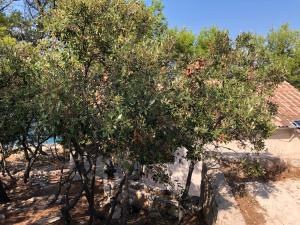 Hvar island -Enjoy Your privacy by the sea