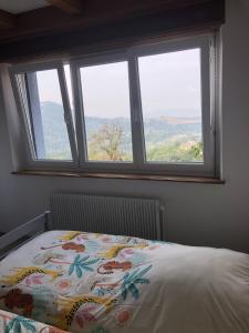 Appartements gite de montagne au pied du Champ du Feu (Alsace) : photos des chambres