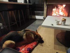 Espectacular Cabaña!!!