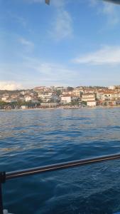 Apartmani Island 