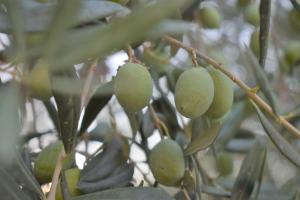 Casa di Paolo - Al Baglio