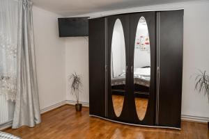 Apartament Panoramic la casa in comuna Rasinari