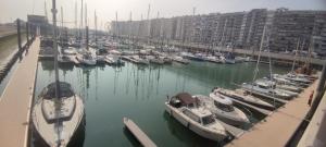 Przytulny domek holenderski z podgrzewanym odkrytym basenem do dyspozycji gości