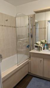 Appartement lumineux Seine, île St-Germain, proche Porte de Versailles et la Défense