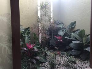 Casa de Campo en Cieneguilla