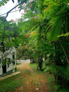 Pousada Villa da Gama