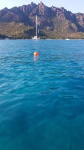 Casa FOXI MANNA img29