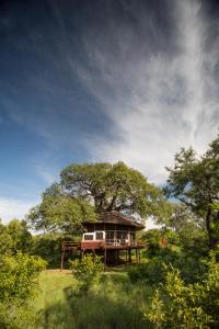 Tarangire Treetops
