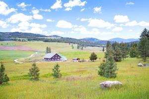 Eagles Roost Cabin - Eden Valley