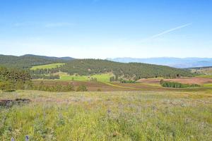 Eagles Roost Cabin - Eden Valley