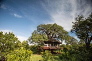 Tarangire Treetops