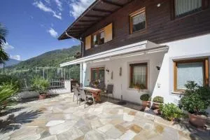 Masulhof Ferienwohnung Löwenzahn - 维尔迪尼斯