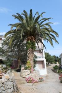 Apartments by the sea Jakisnica, Pag - 6285