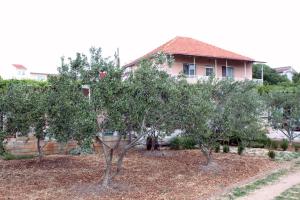 Apartments with a parking space Pirovac, Sibenik - 6278