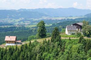Pension Hochfelner - Stockerhof Sankt Marein bei Knittelfeld Österreich