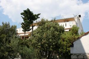 Apartments by the sea Mandre, Pag - 6374 