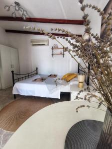 Studio with character