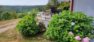 Mrežnica - Zelena oaza